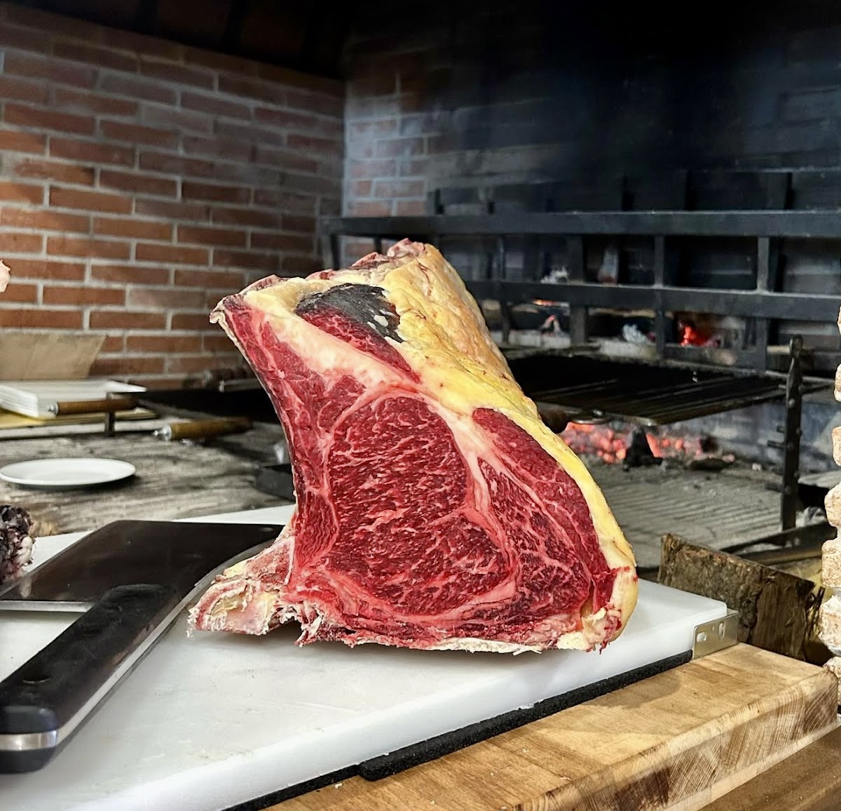 Forno a legna con braci rosse e carne cruda — La brace di Baco da Seta