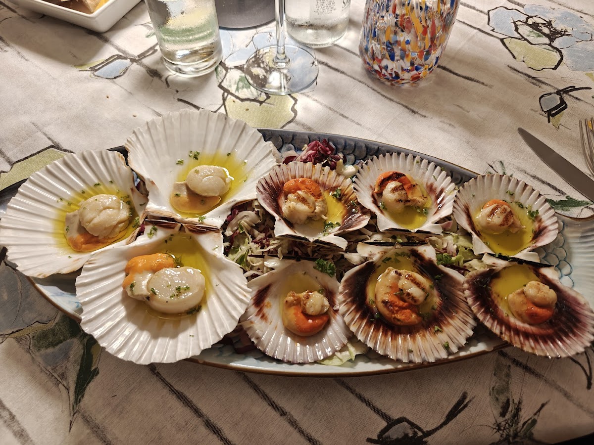 Capesante su piatto — secondi di pesce
